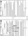 Fig. 12 - Method and apparatus for processing multi-touch input at touch screen terminal