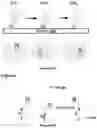 Fig. 274 - TOUCH SCREEN DEVICE, METHOD, AND GRAPHICAL USER INTERFACE FOR CUSTOMIZING DISPLAY OF CONTENT CATEGORY ICONS
