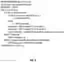 Fig. 07 - Systems, apparatuses, and methods for fused multiply add