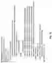 Fig. 11 - Systems, apparatuses, and methods for fused multiply add