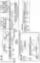 Fig. 16 - Systems, apparatuses, and methods for fused multiply add