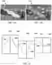 Fig. 07 - Systems and methods for rendering vector data on static and dynamic-surfaces using screen space decals and a depth texture