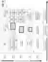 Fig. 29 - Systems, methods, and apparatuses for implementing a scheduler and workload manager with workload re-execution functionality for bad execution runs