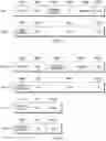 Fig. 07 - Prefetch protocol for transactional memory