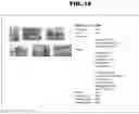 Fig. 19 - Method and apparatus for managing digital files
