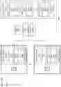 Fig. 74 - Many task computing with distributed file system