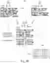 Fig. 19 - Narrative-based media organizing system for transforming and merging graphical representations of digital media within a work area