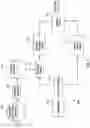 Fig. 02 - Determining personality profiles based on online social speech