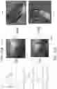 Fig. 09 - Drop test analysis and optimization