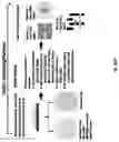Fig. 40 - Semiconductor Fab's defect operating system and method thereof