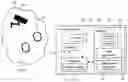 Fig. 01 - Device with a camera for real-time risk detection of password leakage