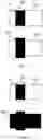 Fig. 03 - Method for three-dimensional graphic reconstruction of a vehicle
