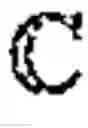 Fig. 06 - Focalized behavioral measurements in a video stream