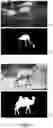 Fig. 07 - Deep learning for dense semantic segmentation in video with automated interactivity and improved temporal coherence