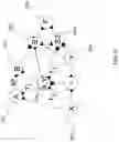 Fig. 07 - Spiking neural network for probabilistic computation