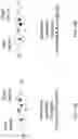 Fig. 13 - Spiking neural network for probabilistic computation