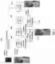 Fig. 09 - Neural network based position estimation of target object of interest in video frames