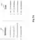Fig. 04 - System and method for relationship identification