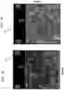 Fig. 08 - Sensor device having configuration changes