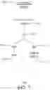 Fig. 10 - TASK EXECUTION BASED ON ACTIVITY CLUSTERS