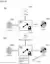 Fig. 05 - TOKEN MANAGEMENT FOR ENHANCED OMNI-CHANNEL PAYMENTS EXPERIENCE AND ANALYTICS