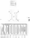 Fig. 02 - Systems and Methods for Visualizing Garment Fit