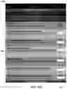Fig. 77 - SYSTEM, APPARATUS AND METHOD FOR ORGANIZING RESTAURANT TASKS AND PATRONS' AFFAIRS