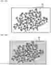 Fig. 12 - Data structure for creating image-processing data and method for creating image-processing data