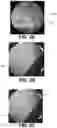 Fig. 03 - Negative sample enhanced object detection machine