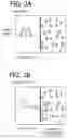 Fig. 04 - Image recognition apparatus