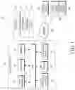 Fig. 02 - Electronic device and method for applying image effect to images obtained using image sensor