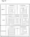 Fig. 19 - INFORMATION PROCESSING DEVICE, INFORMATION PROCESSING METHOD, AND PROGRAM STORAGE MEDIUM