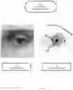 Fig. 06 - Computer systems and computer-implemented methods configured to track multiple eye-gaze and heartrate related parameters during users' interaction with electronic computing devices
