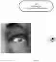 Fig. 07 - Computer systems and computer-implemented methods configured to track multiple eye-gaze and heartrate related parameters during users' interaction with electronic computing devices