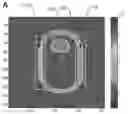 Fig. 01 - Correction of sharp-edge artifacts in differential phase contrast CT images and its improvement in automatic material identification