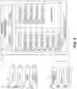 Fig. 04 - Platoon system for vehicles
