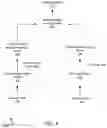 Fig. 05 - Systems and methods for generating a response based on task-independent conversational responses or task-specific responses