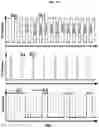 Fig. 41 - MEMORY CELL, METHODS OF FORMING AND OPERATING THE SAME