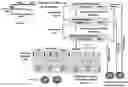 Fig. 01 - Rational design of microbial-based biotherapeutics
