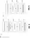 Fig. 04 - INTEGRATED DISEASE MANAGEMENT SYSTEM