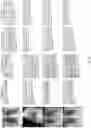 Fig. 09 - Systems and methods for automatically tagging concepts to, and generating text reports for, medical images based on machine learning