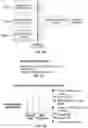 Fig. 23 - MULTIMODAL MODELING SYSTEMS AND METHODS FOR PREDICTING AND MANAGING DEMENTIA RISK FOR INDIVIDUALS