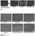 Fig. 03 - Nuclear fuel pellet having enhanced thermal conductivity and method of manufacturing the same