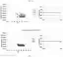 Fig. 07 - Varistor passivation layer and method of making the same