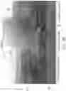 Fig. 14 - Superconductor and method for manufacturing same