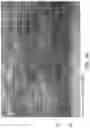 Fig. 15 - Superconductor and method for manufacturing same