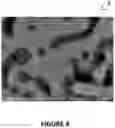 Fig. 05 - Iron-rich permanent magnet
