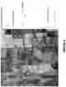 Fig. 07 - Iron-rich permanent magnet