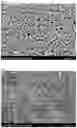 Fig. 05 - SEALING SHEET AND SEMICONDUCTOR-DEVICE MANUFACTURING METHOD