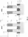 Fig. 10 - Gate spacer formation for scaled CMOS devices